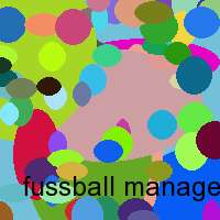 fussball manager 2007 cd key